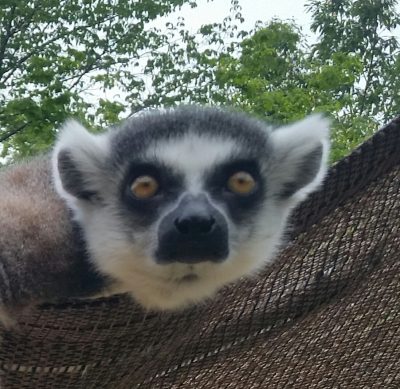 きもちー