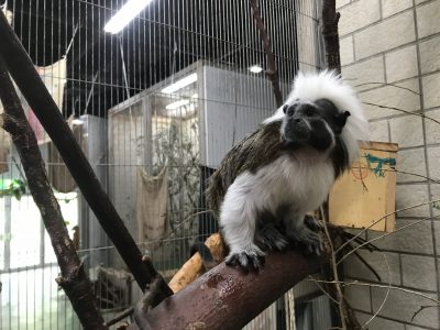 遠くを見つめるヒー
