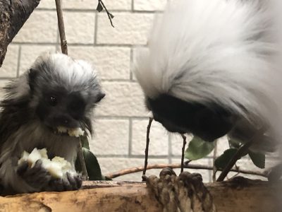 たまごを食べる赤ちゃん