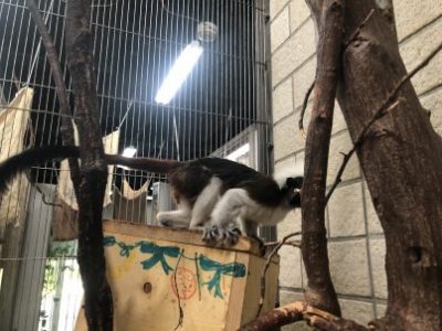 出演拒否その1