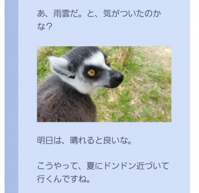 お洒落画面