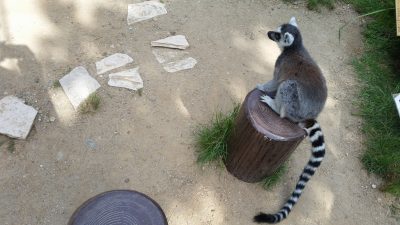 座ってみる？