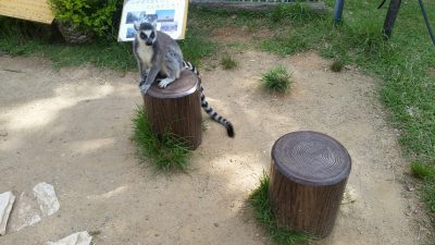 おとなりどうぞ。