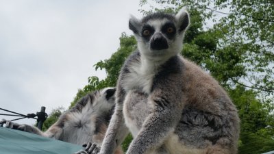 晴れ間だぜ！