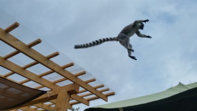 ジャンプ