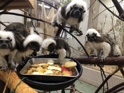 食事を置いた直後1