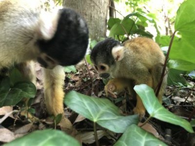 超接近