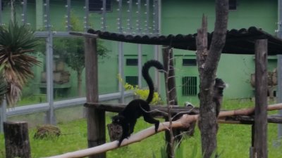 ムーンウォークです