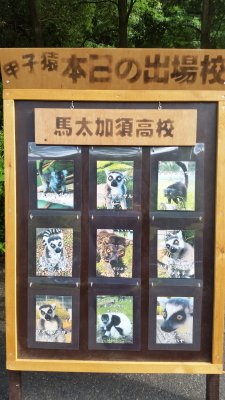 ナイン