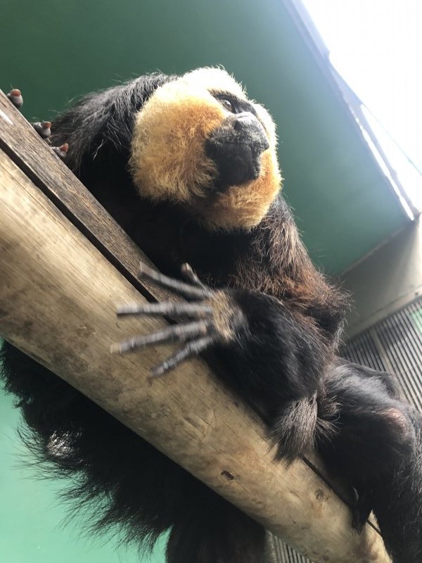 下から見るか