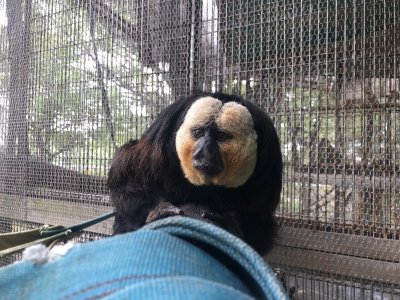 横から見るか？