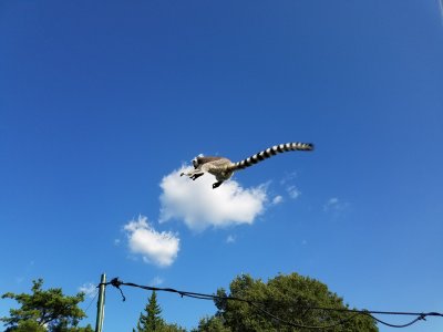 雲に乗る