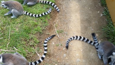 迂回しよう
