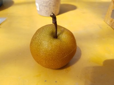 梨