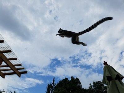 秋空にジャンプ
