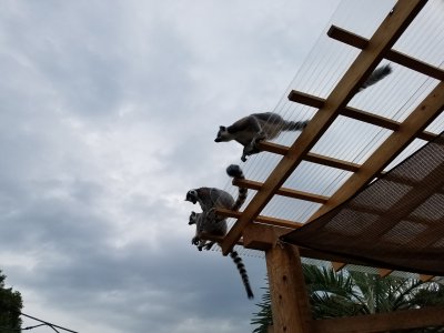 ウズウズ