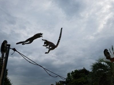 ダブルジャンプ