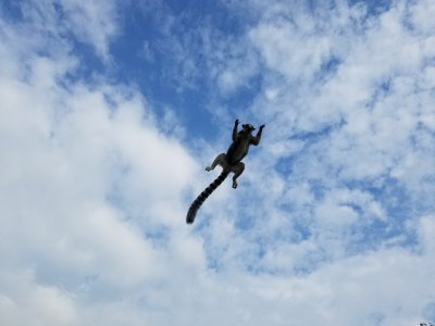 秋空にWaoジャンプ