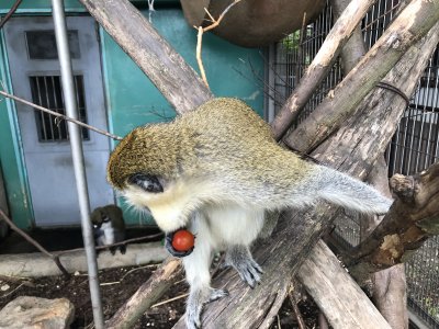 後ろを確認