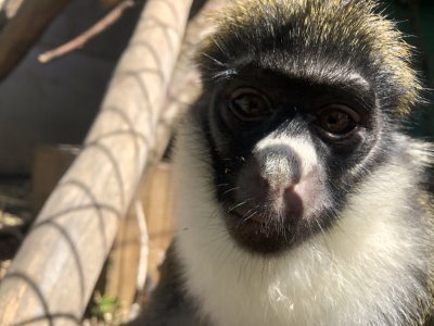 ハイチュウのどアップ