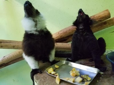 美味しさの表現