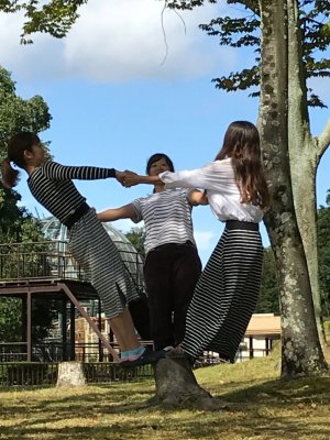 バランスしましま