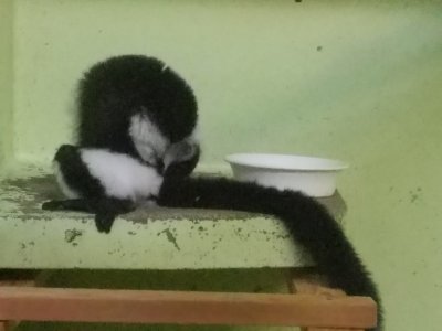 おしりカキカキ