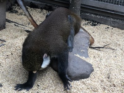 探す