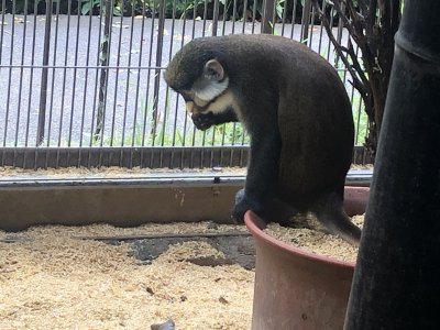 縁に乗って