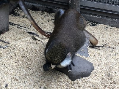 石の上に