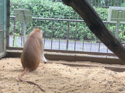 さがして