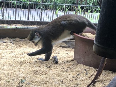見つけた？