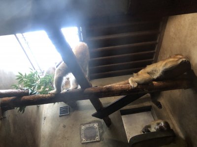 17時17分