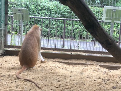 探す