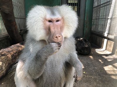 よく見る座り方