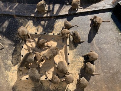 探索ゾーン