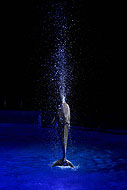 Splash!