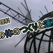 小4 理科 人の体のつくりと運動