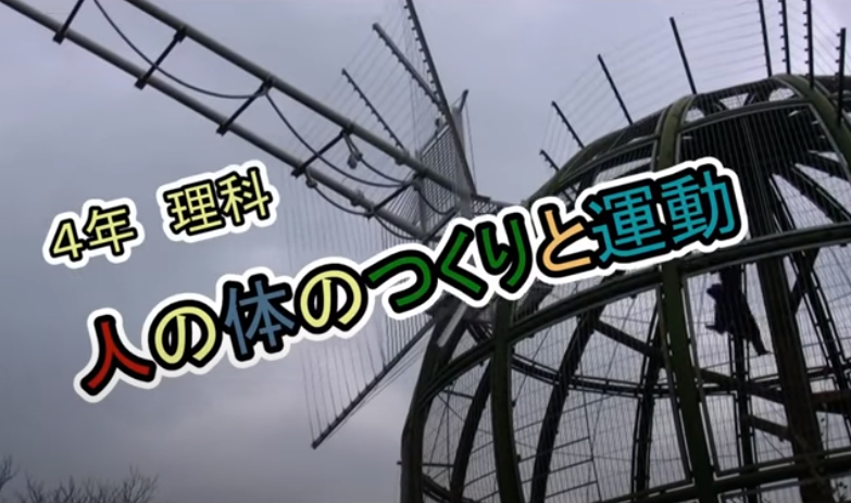小4 理科 人の体のつくりと運動