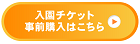 蜈･蝨偵メ繧ｱ繝?ヨ