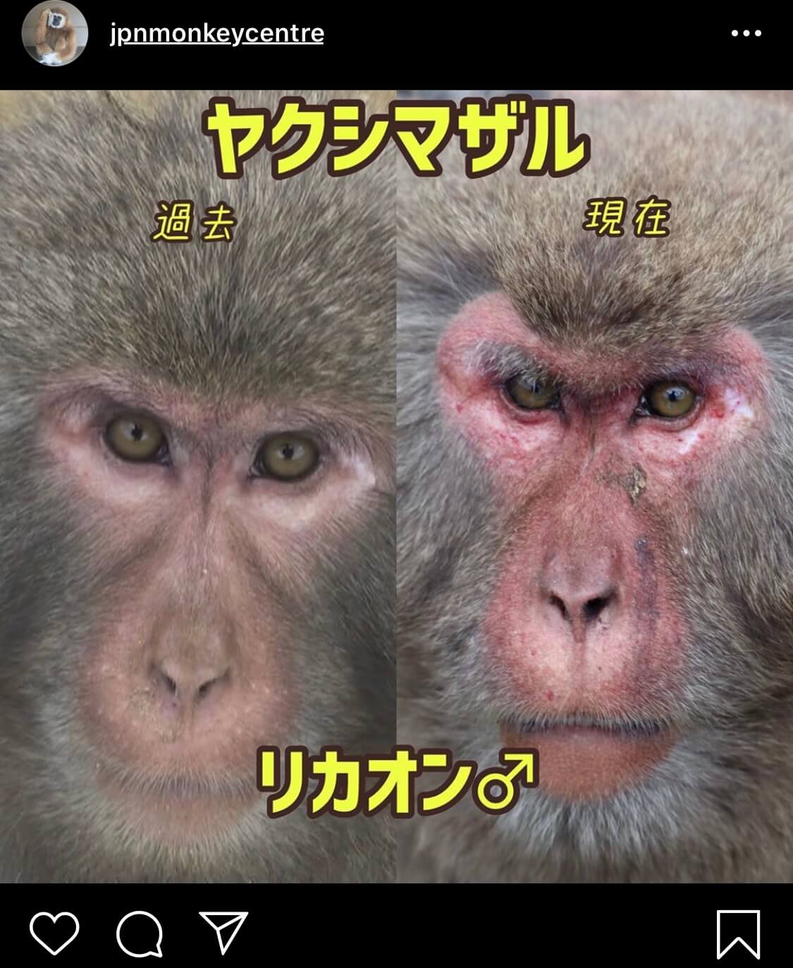 01319357-B119-4800-9094-