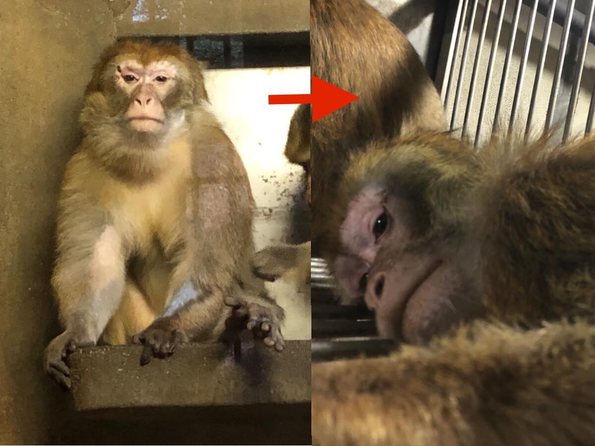 ちなみに 飼育の部屋