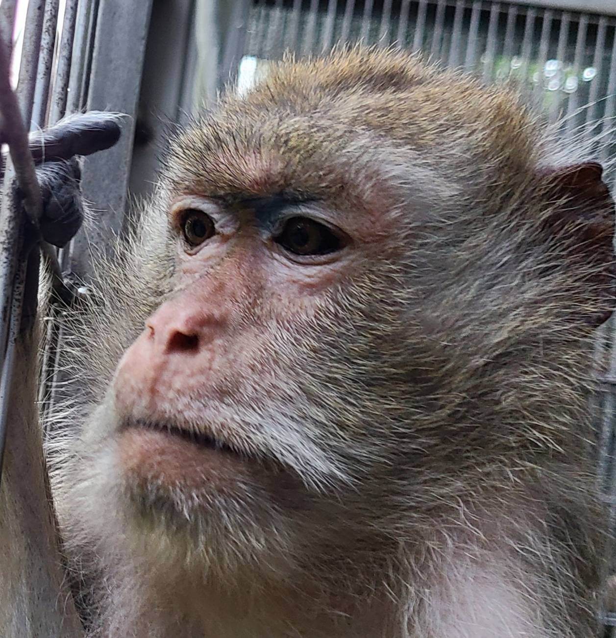 【アジカンInfo】~夏の日の2023~ – 飼育の部屋