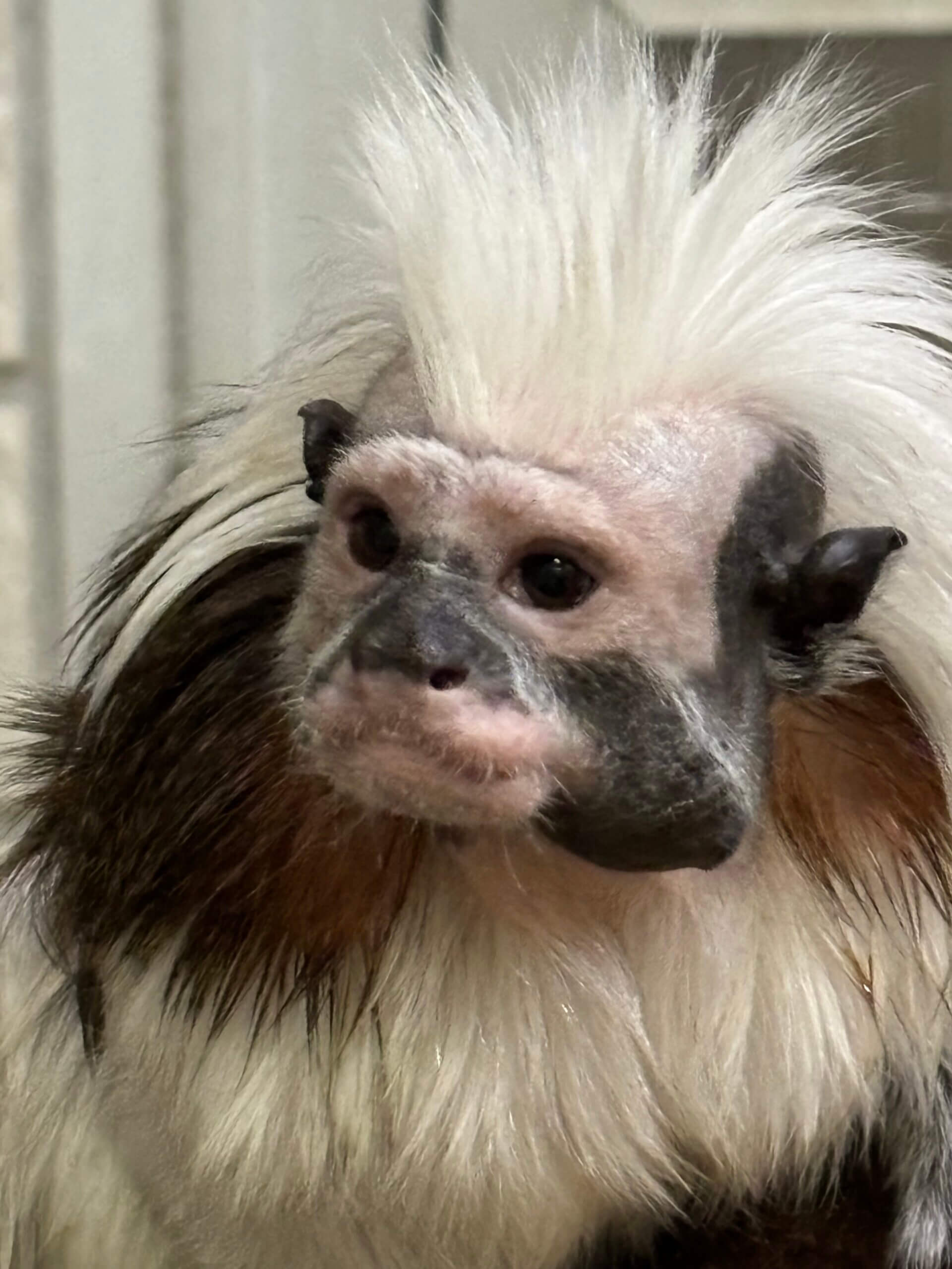 2024Paris Olympics Paralympics – 飼育の部屋